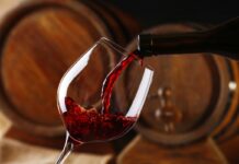 Día Nacional del Vino: una industria que une patrimonio, empleo y exportación ante un escenario complejo