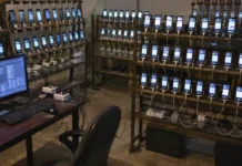 Bots bajo la lupa: comisión investigará eventual manipulación digital en procesos electorales desde 2020