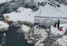 Avalancha en Laguna del Inca deja tres fallecidos y cuatro heridos en Los Andes